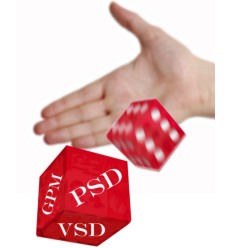 GPM PSD VSD - losimo kauliukai