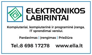 Elektronikos-labirintai_